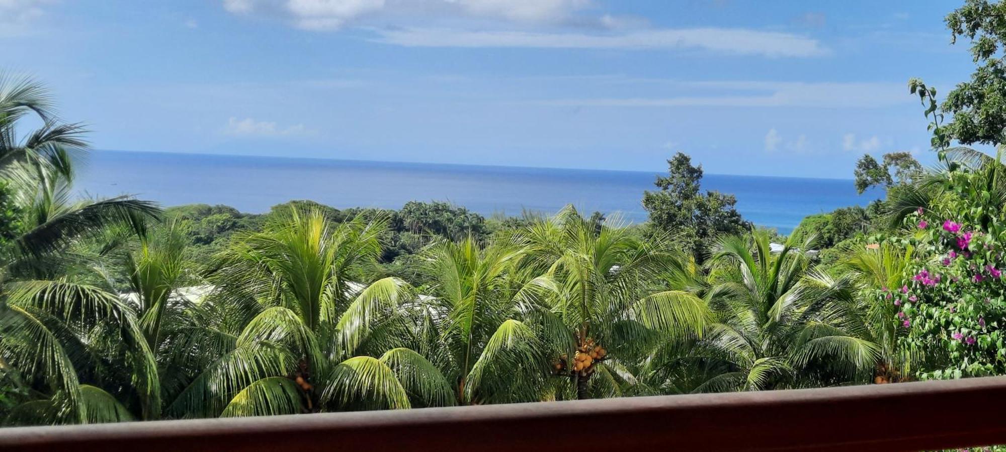 Oasis De Grande Anse Villa Deshaies Exterior photo